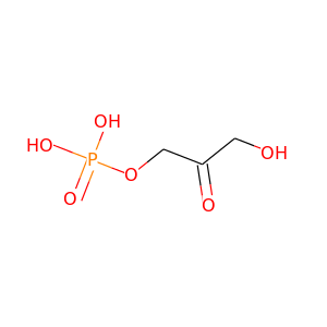 Glyceraldehyde- 3-phosphate